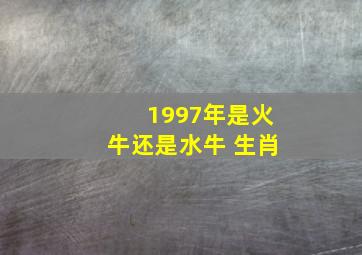 1997年是火牛还是水牛 生肖